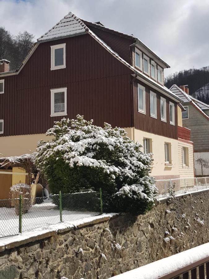 Haus Am Fluss Mit Wunderschoener Dachterrasse Mit Flussblick ,Garten Und Grill Zorge Eksteriør bilde
