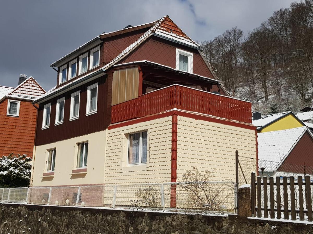 Haus Am Fluss Mit Wunderschoener Dachterrasse Mit Flussblick ,Garten Und Grill Zorge Eksteriør bilde