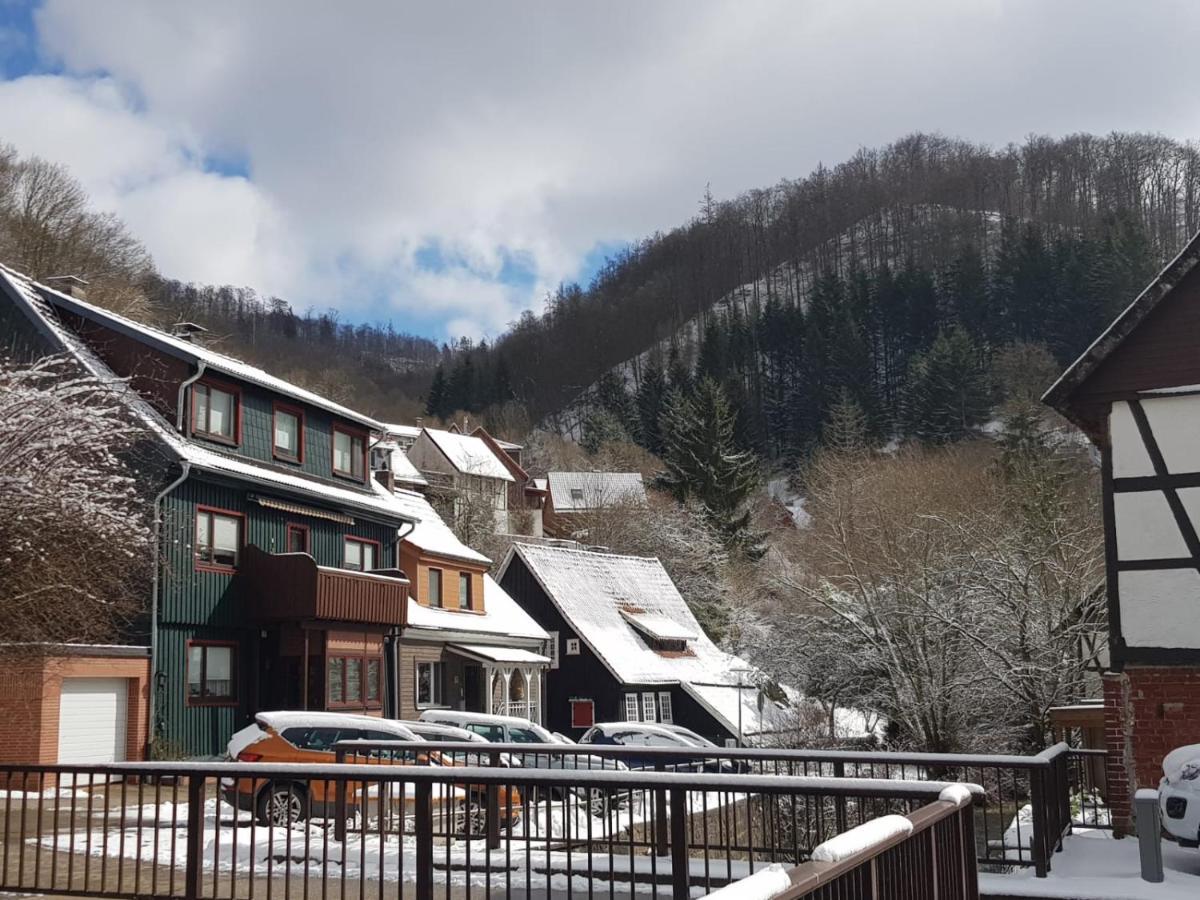 Haus Am Fluss Mit Wunderschoener Dachterrasse Mit Flussblick ,Garten Und Grill Zorge Eksteriør bilde