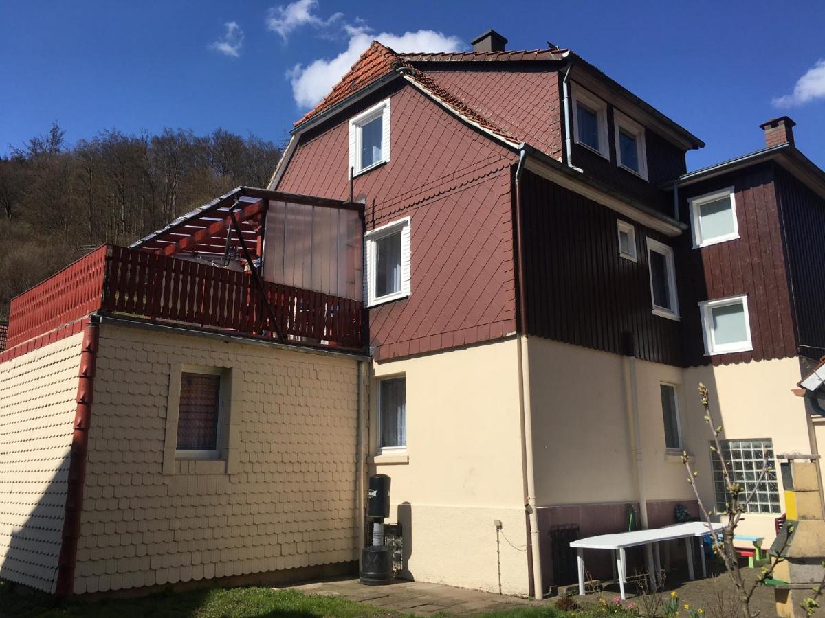Haus Am Fluss Mit Wunderschoener Dachterrasse Mit Flussblick ,Garten Und Grill Zorge Eksteriør bilde