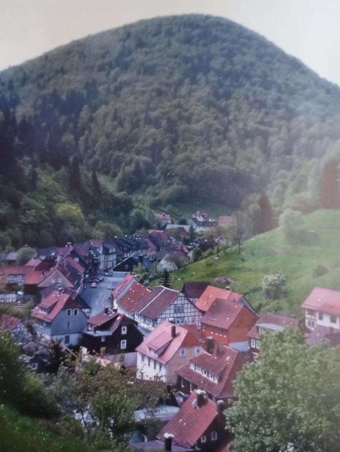 Haus Am Fluss Mit Wunderschoener Dachterrasse Mit Flussblick ,Garten Und Grill Zorge Eksteriør bilde
